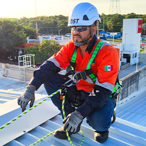 Client Describes <br> Project